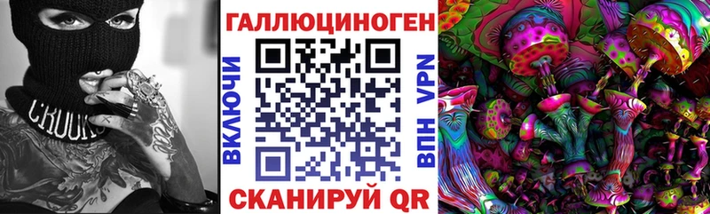 где можно купить   Семилуки  Галлюциногенные грибы GOLDEN TEACHER 