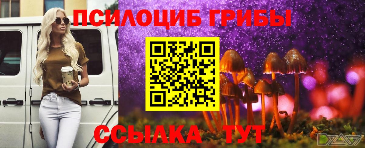 Псилоцибиновые грибы Psilocybine cubensis Семилуки